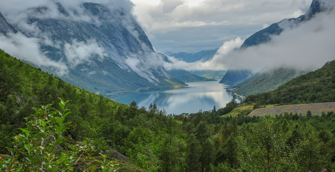 Norjalainen vuono jyrkkien, pilvien peittämien vuorten välissä, etualalla vihreää metsää.